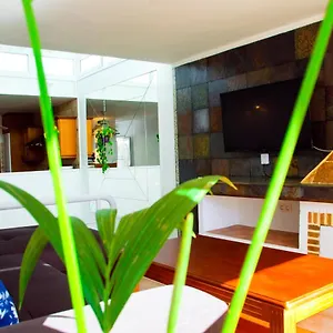 casa-tigot-adults-only.puertodelcarmen-hotels.org/